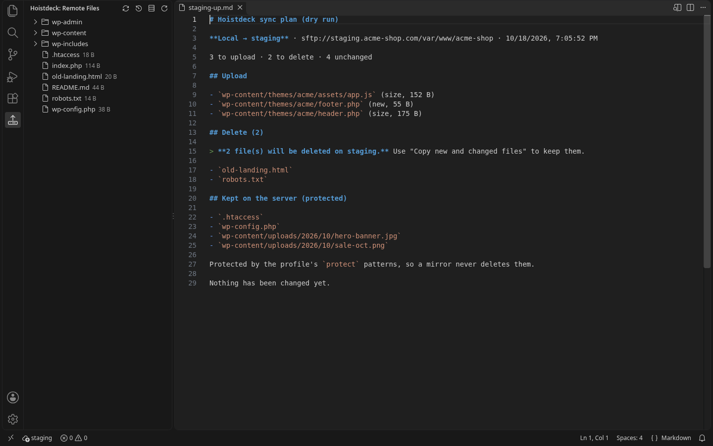 Sync dry-run plan with protected server paths
